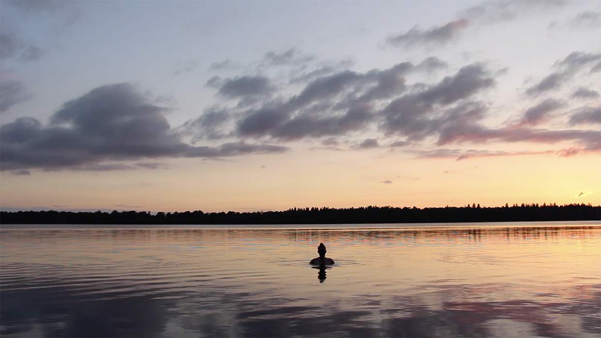 8 notfinal Jacqui-Mills